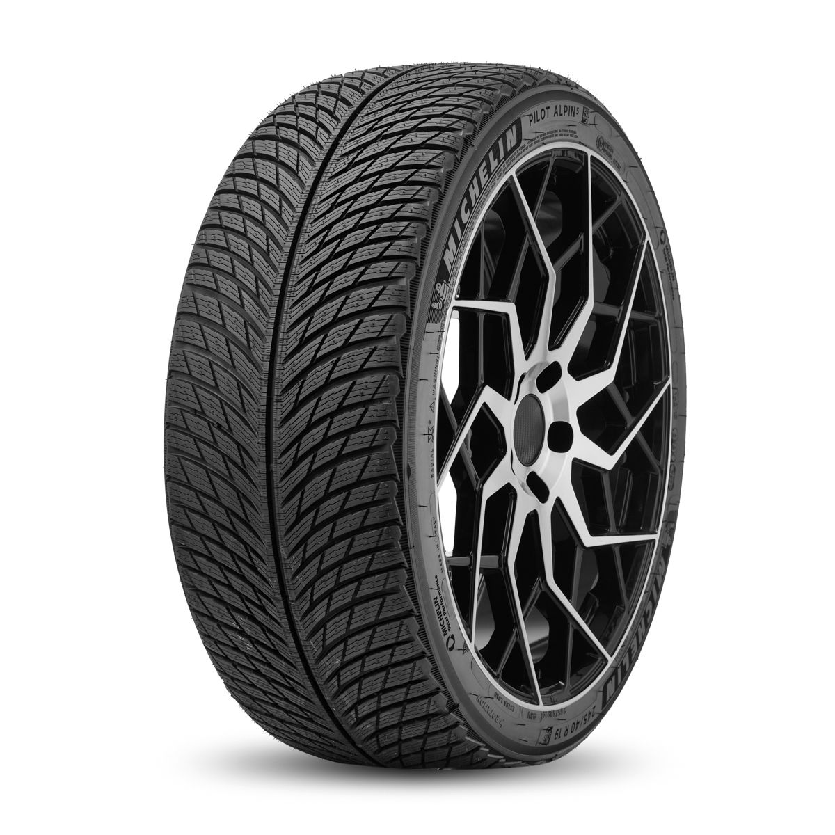 Michelin PILOT ALPIN 5